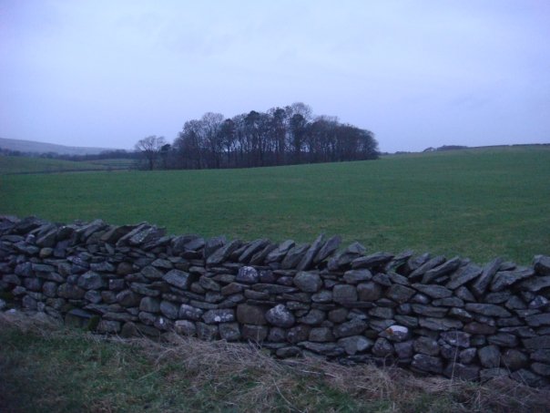 Yorkshire Rock Wall