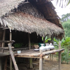 Durpai – An Adi Galo Village In Arunachal&nbsp;Pradesh
