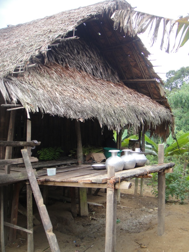 Village of the Adi tribe