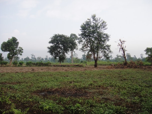 Bodo Liberation Tigers Force