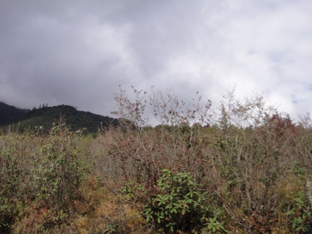 Brahma Dung Chung Ani Gompa