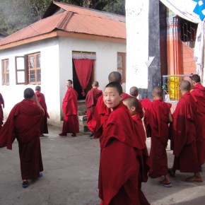 A Nunnery In Tawang: Brahma Dung Chung Ani Gompa (also known as Thukje&nbsp;Chueling)