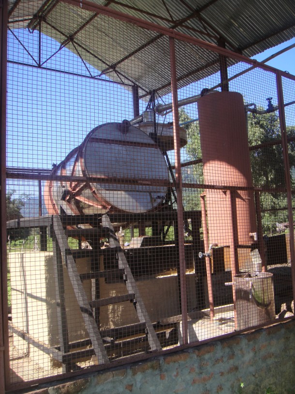 citronella processor