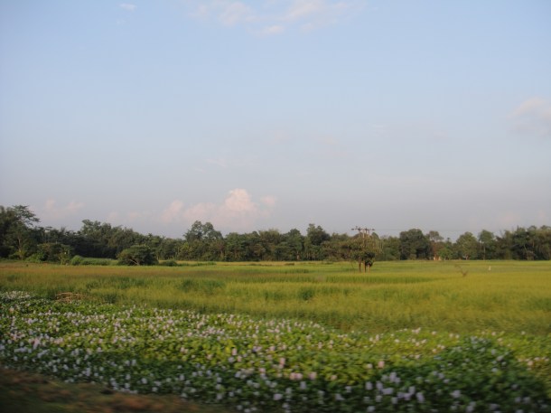 driving-in-assam driving in assam