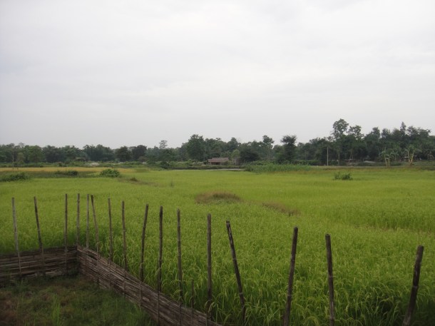 driving-in-assam driving in assam