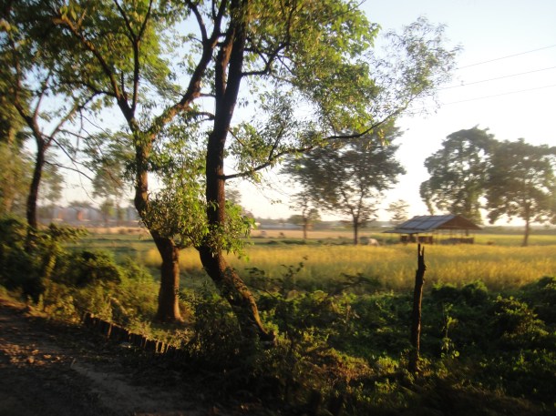 driving-in-assam driving in assam