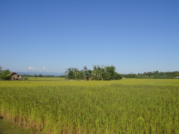 driving-in-assam driving in assam
