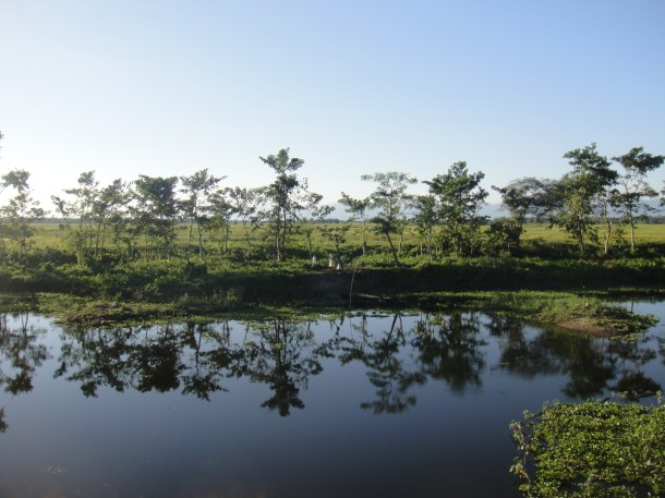 driving-in-assam driving in assam