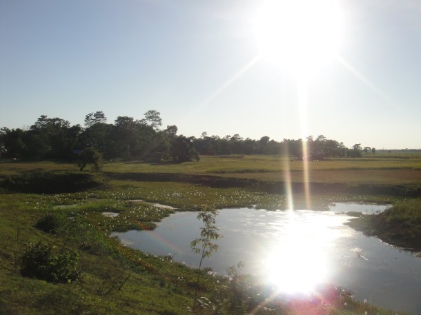 driving-in-assam driving in assam