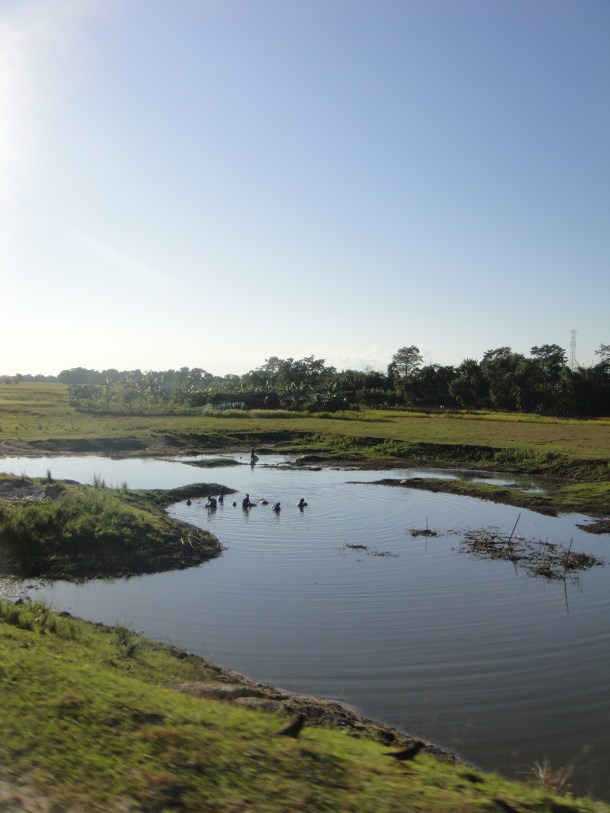 driving-in-assam driving in assam