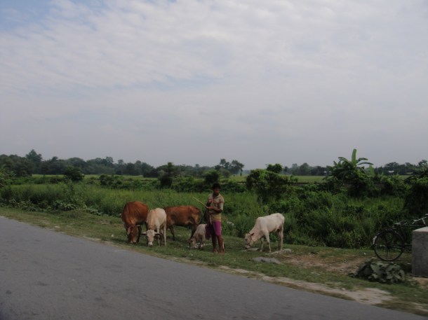 driving-in-assam driving in assam