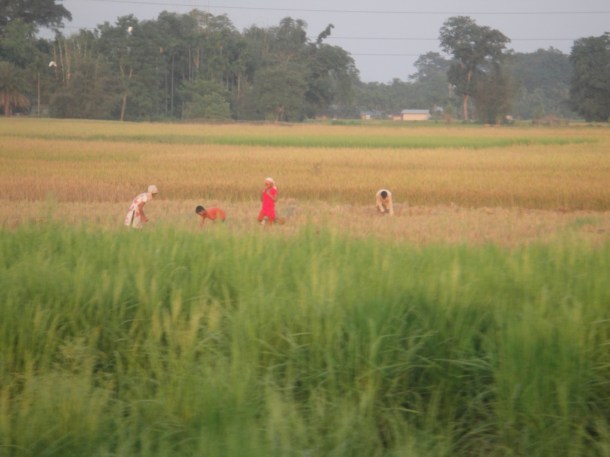 driving-in-assam driving in assam