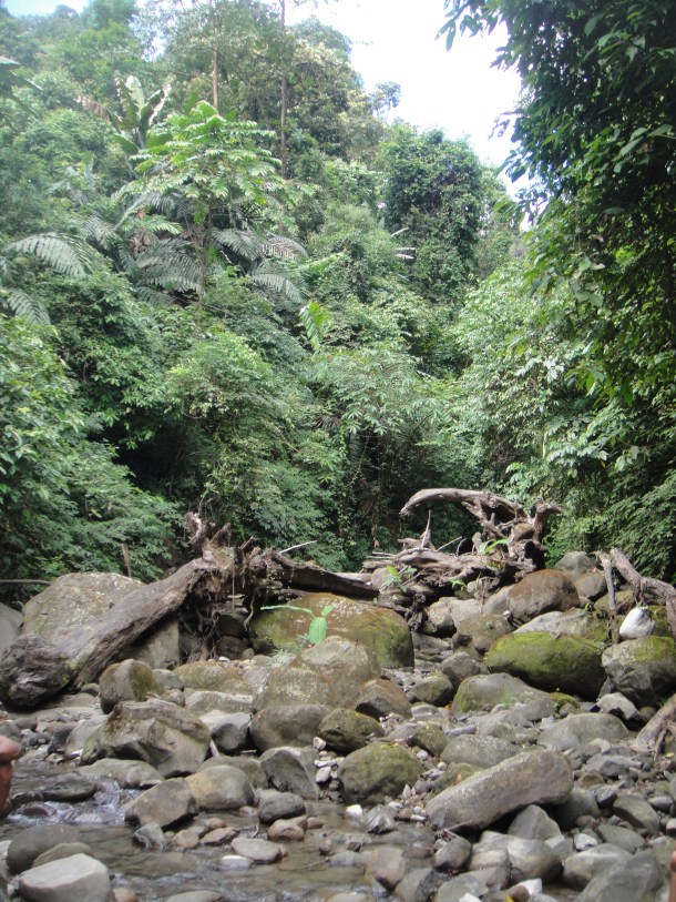 hunting arunachal pradesh