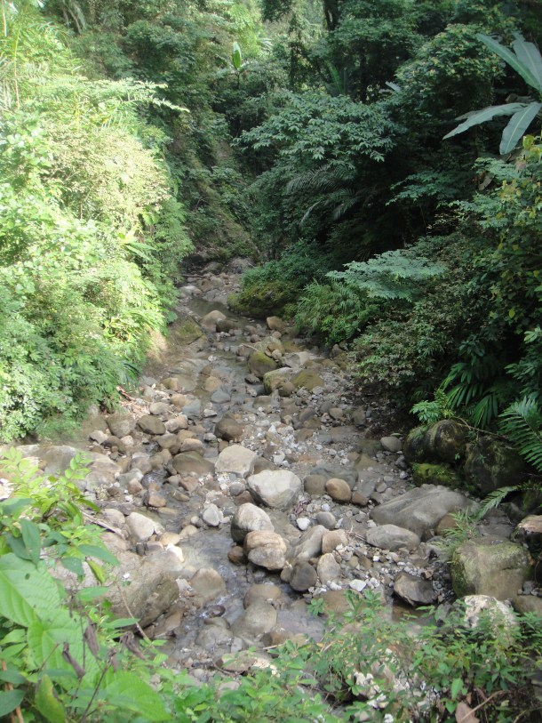 hunting arunachal pradesh