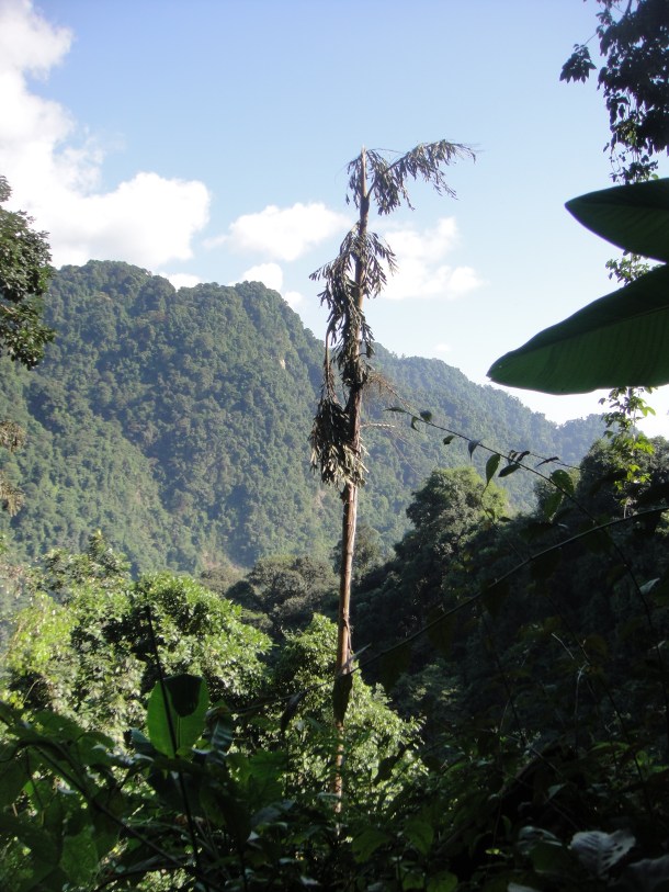 hunting arunachal pradesh