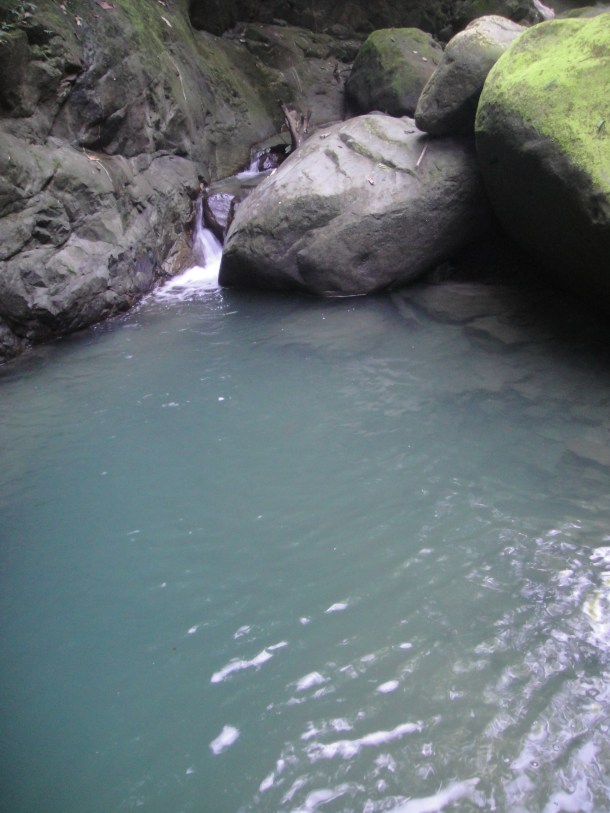 hunting arunachal pradesh