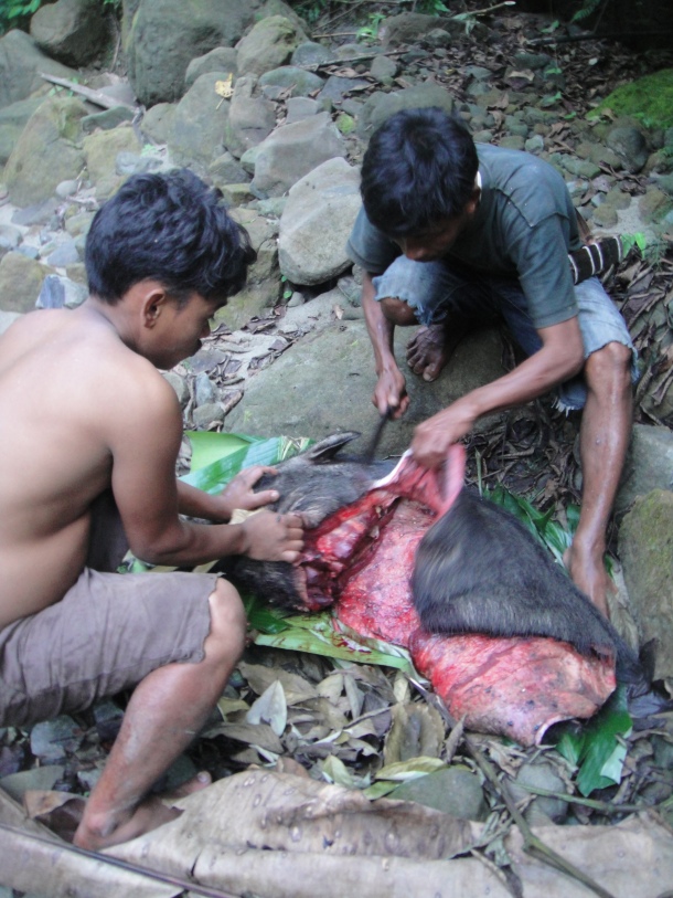 hunting arunachal pradesh
