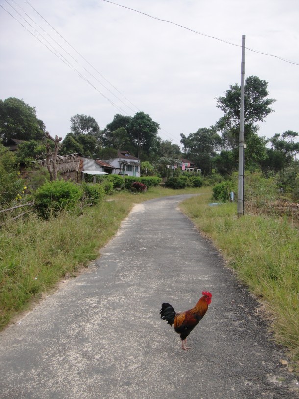 life on the meghalaya plateau