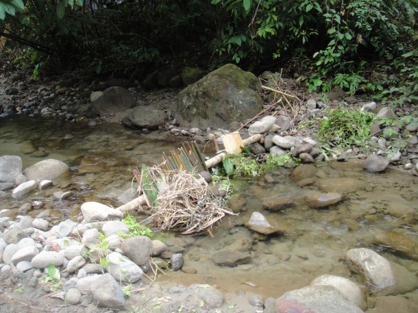 logging arunachal pradesh