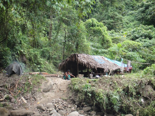 logging arunachal pradesh