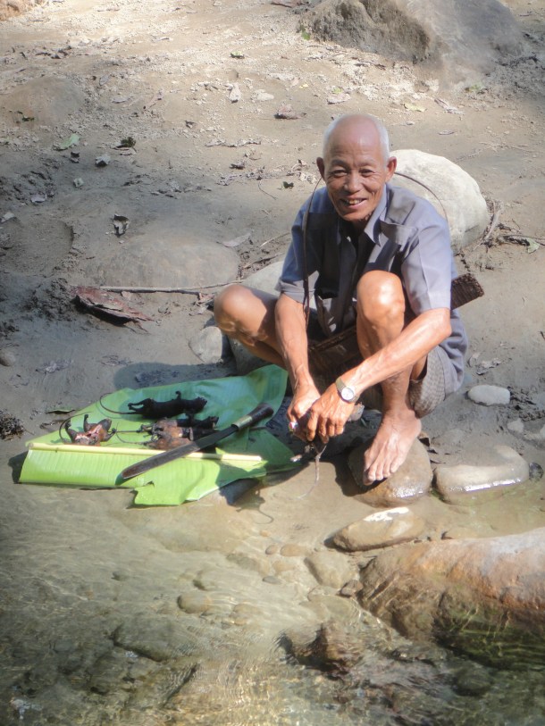 logging arunachal pradesh