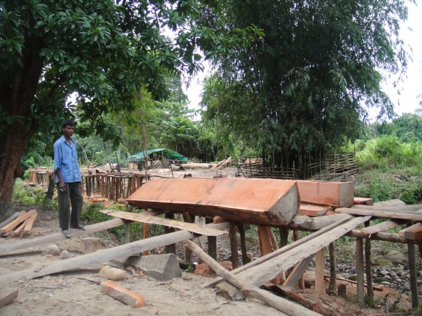 logging arunachal pradesh