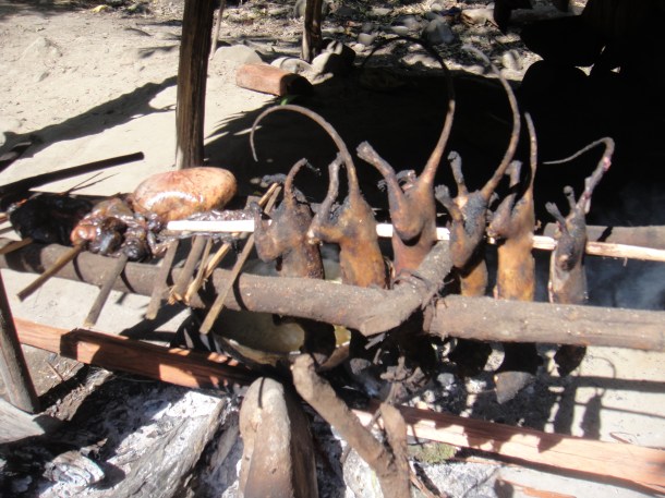 logging arunachal pradesh