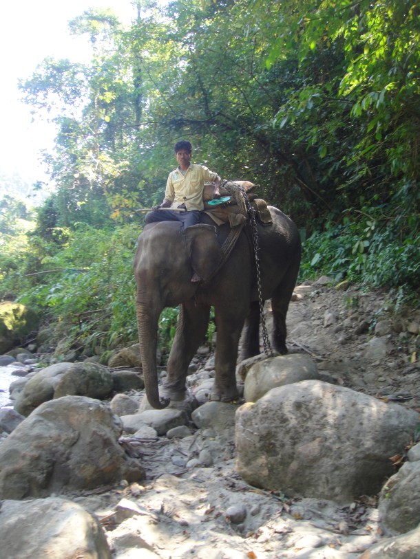 logging arunachal pradesh