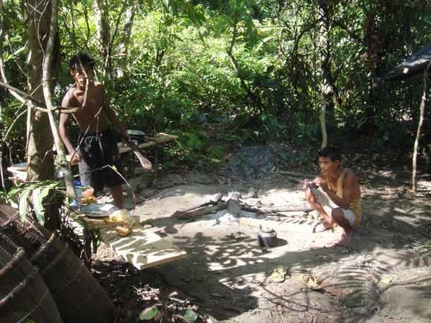 logging arunachal pradesh