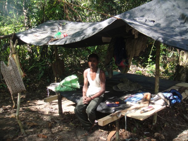logging arunachal pradesh