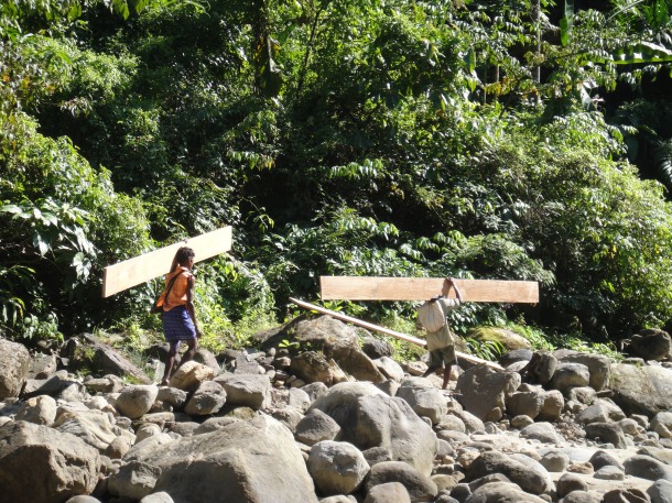 logging arunachal pradesh