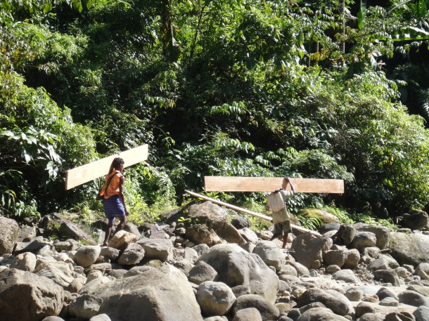 logging arunachal pradesh