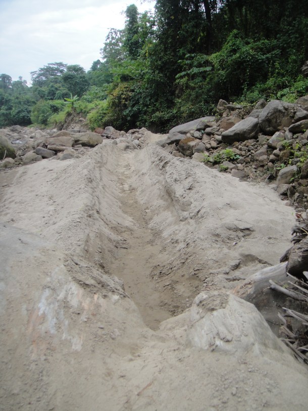 logging arunachal pradesh