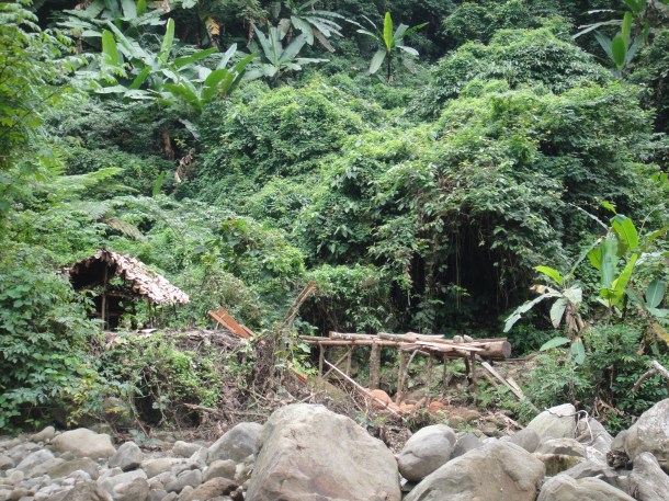 logging arunachal pradesh