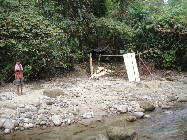 logging arunachal pradesh
