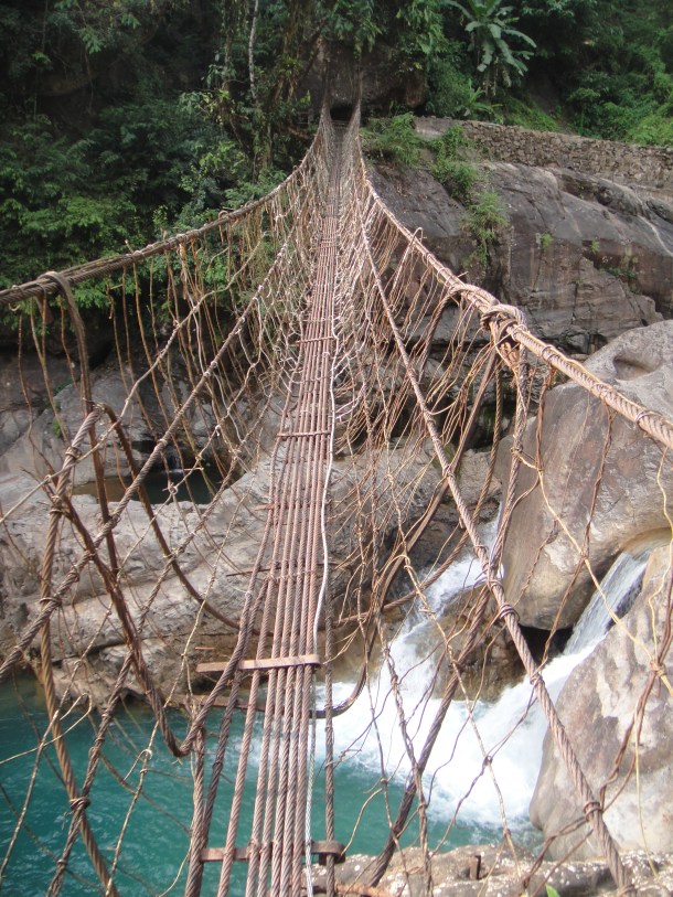 the living bridges of meghalaya