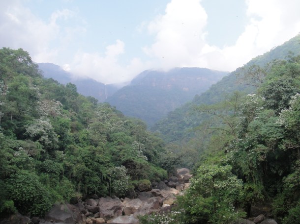 the living bridges of meghalaya