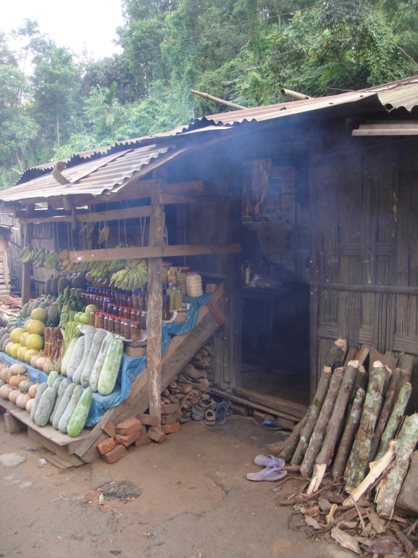 meghalaya river village