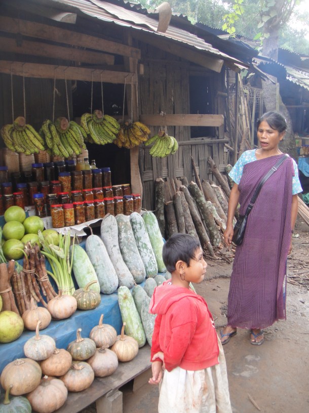 meghalaya river village