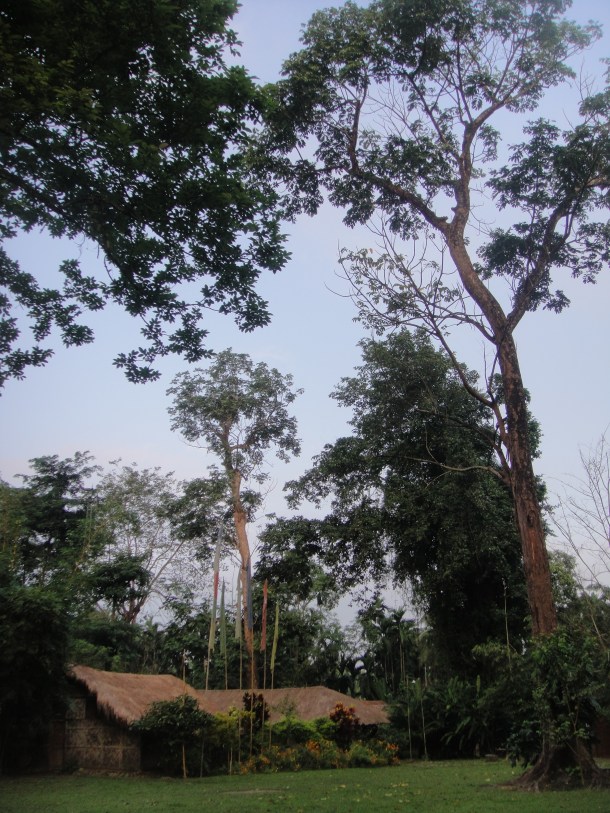 nameri national park