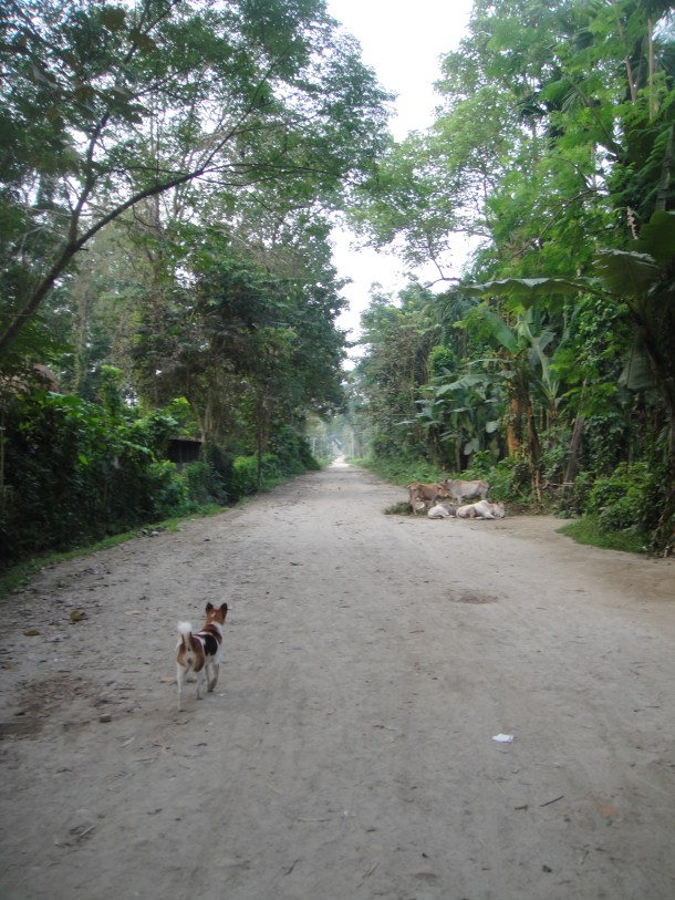 nameri national park