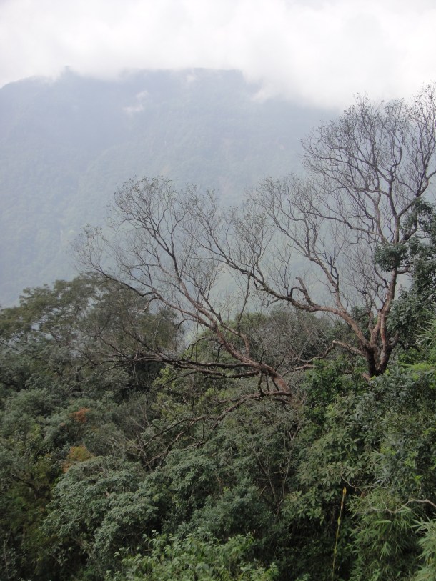 rainiest place on Earth