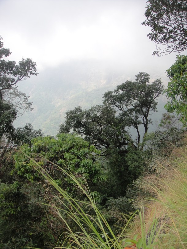 rainiest place on earth