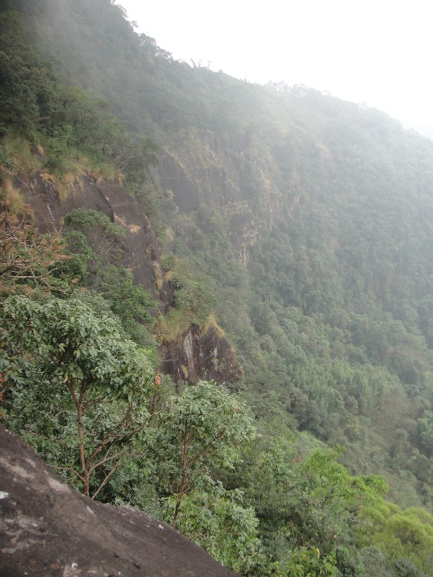 rainiest place on the planet