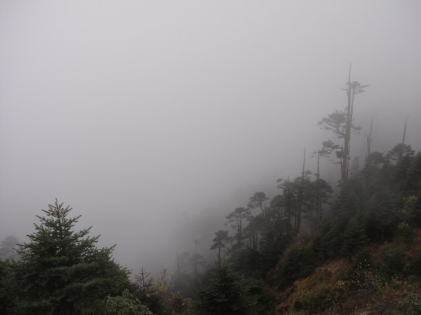 the-road-to-tawang the road to tawang