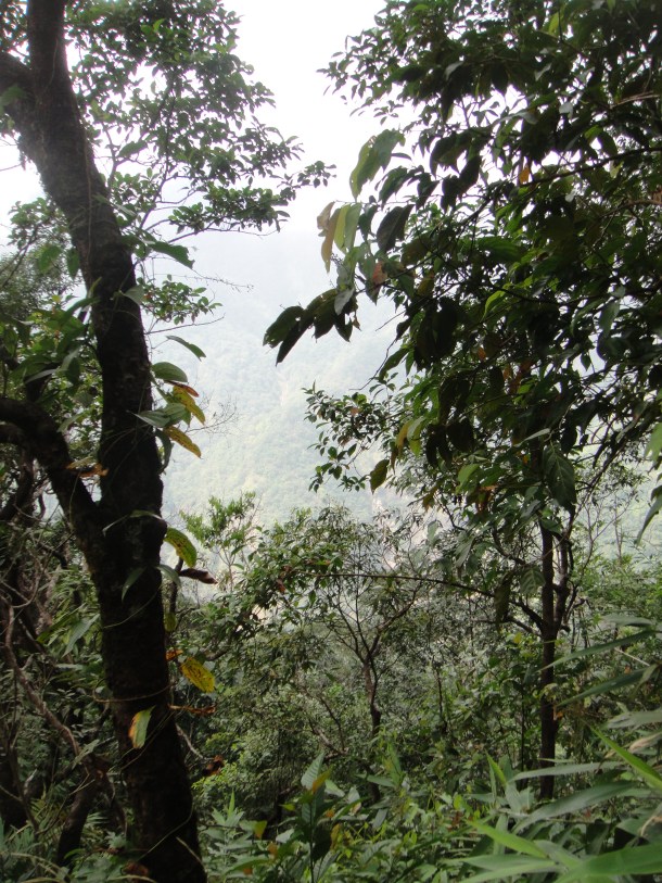 the wettest place on earth