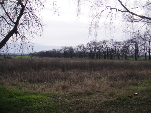 bendery transnistria