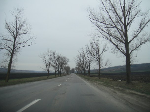 countryside moldova