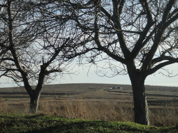 countryside moldova