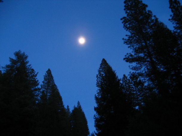 hiller-tunnel-malakoff-diggins